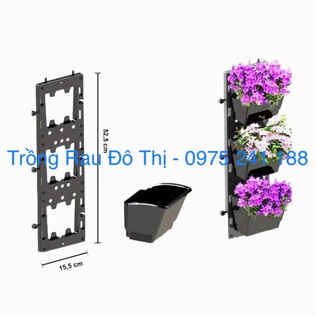 Combo 10 bộ chậu tường đứng trồng cây