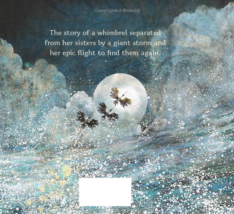 Sách ngoại văn: Numeria And The Hurricane - Inspired By A True Migration Story