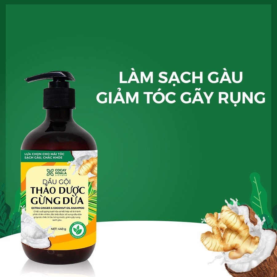 Combo Dầu Gội Xả Gừng Dừa Hữu Cơ Cocayhoala Ngăn Rụng Tóc Kích Thích Mọc Tóc - Giảm Gàu 440g + Tặng Gel Tẩy Da Chết Cafe Cocayhoala Sáng Da Sạch Mụn - Tăng Hấp Thụ Dưỡng Chất của Da - Chiết Xuất Cafe