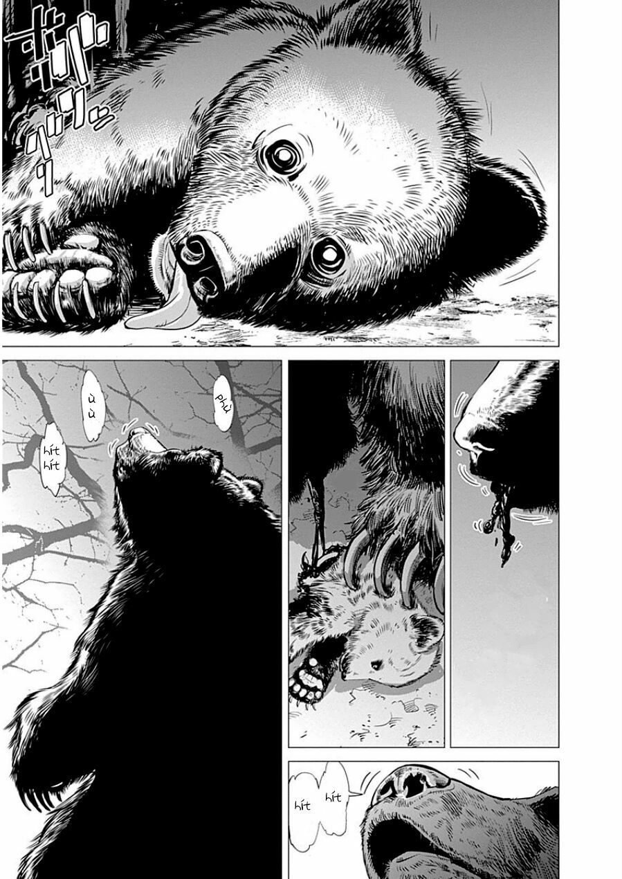 cơn sốt vàng sau chiến tranh chapter 1.1 21