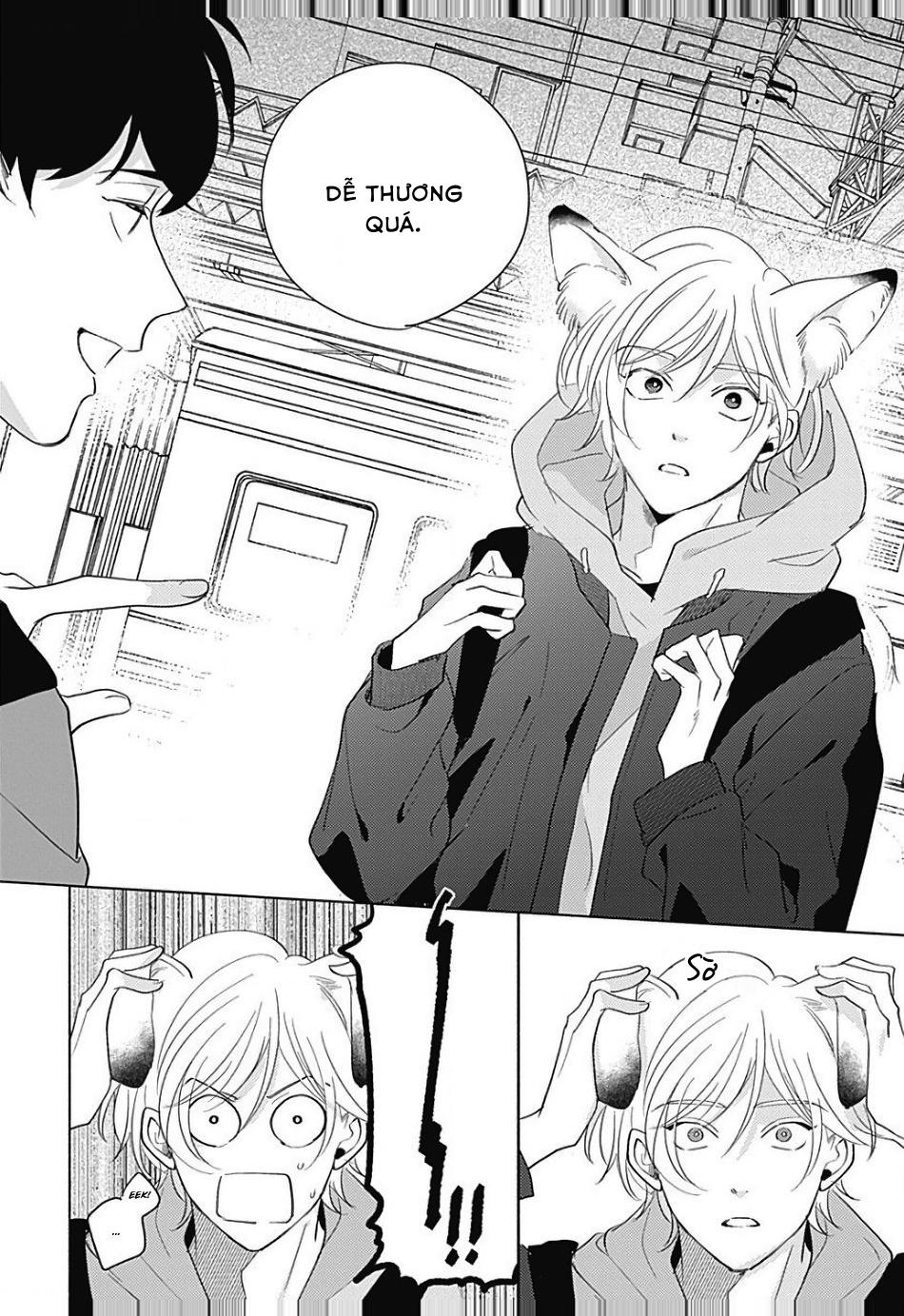 chiếm hữu bởi linh hồn cáo chapter 1 11