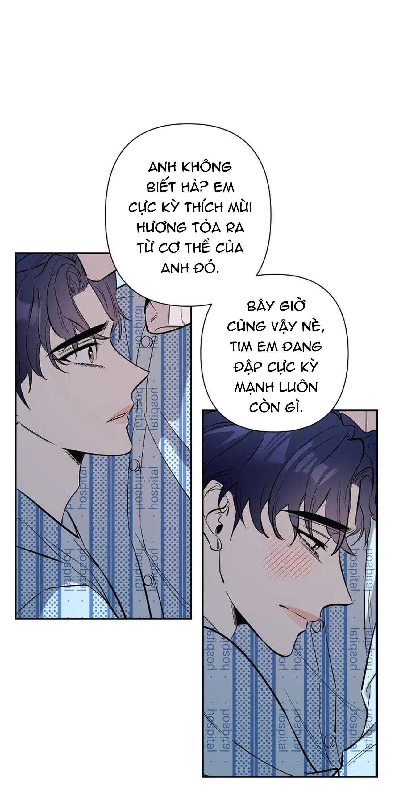 đêm dịu dàng chapter 71 15