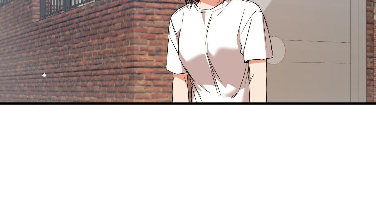 những chú thỏ của hapypy chapter 56 74