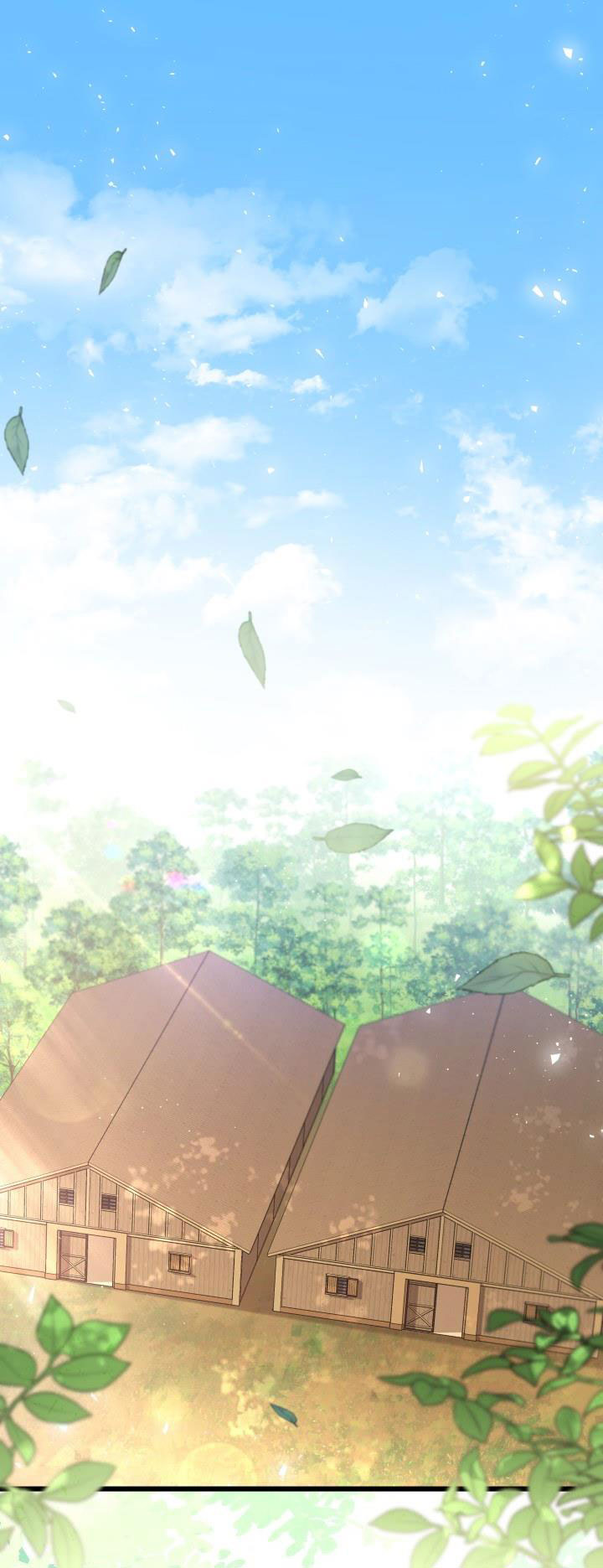 mối liên kết giữa báo đen và bé thỏ chapter 49 2