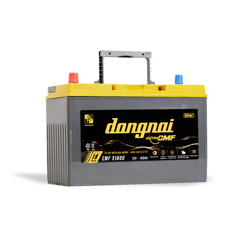 Ắc quy khô miễn bảo dưỡng Đồng Nai EXTRA CMF 31800 | 12V - 100Ah