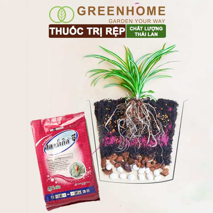 Thuốc Tím Trị Rệp Greenhome, Starkle-G, Bao 50gr, Lưu Dẫn, An Toàn, Hiệu Quả, Dùng Cho Sen Đá, Xương Rồng, Hoa hồng