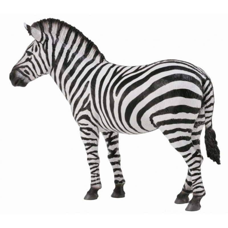 Mô hình thu nhỏ: Ngựa Vằn - Common Zebra , hiệu: CollectA, mã HS 9651070 - Chất liệu an toàn cho trẻ - Hàng chính hãng
