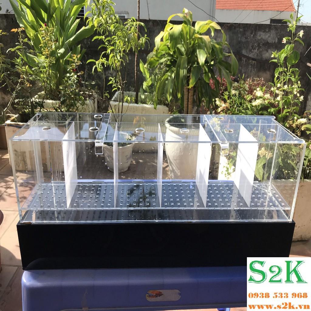 Bể acrylic CB40, Siêu trong, siêu nhẹ hồ mika phù hợp cho nuôi cá, cây thủy sinh... có thể dùng kèm theo đèn, bơm, lọc