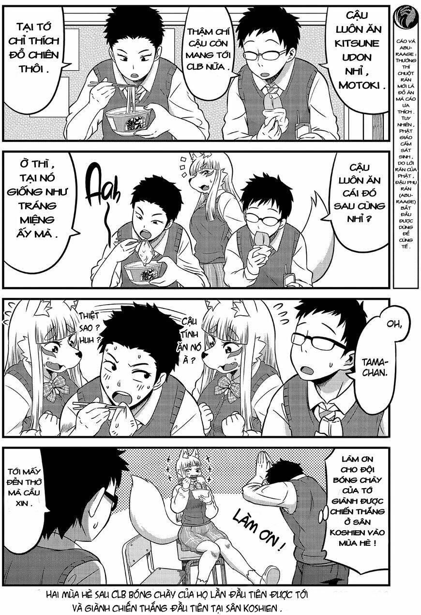 high school inari tamamo-chan ! chapter 1 8