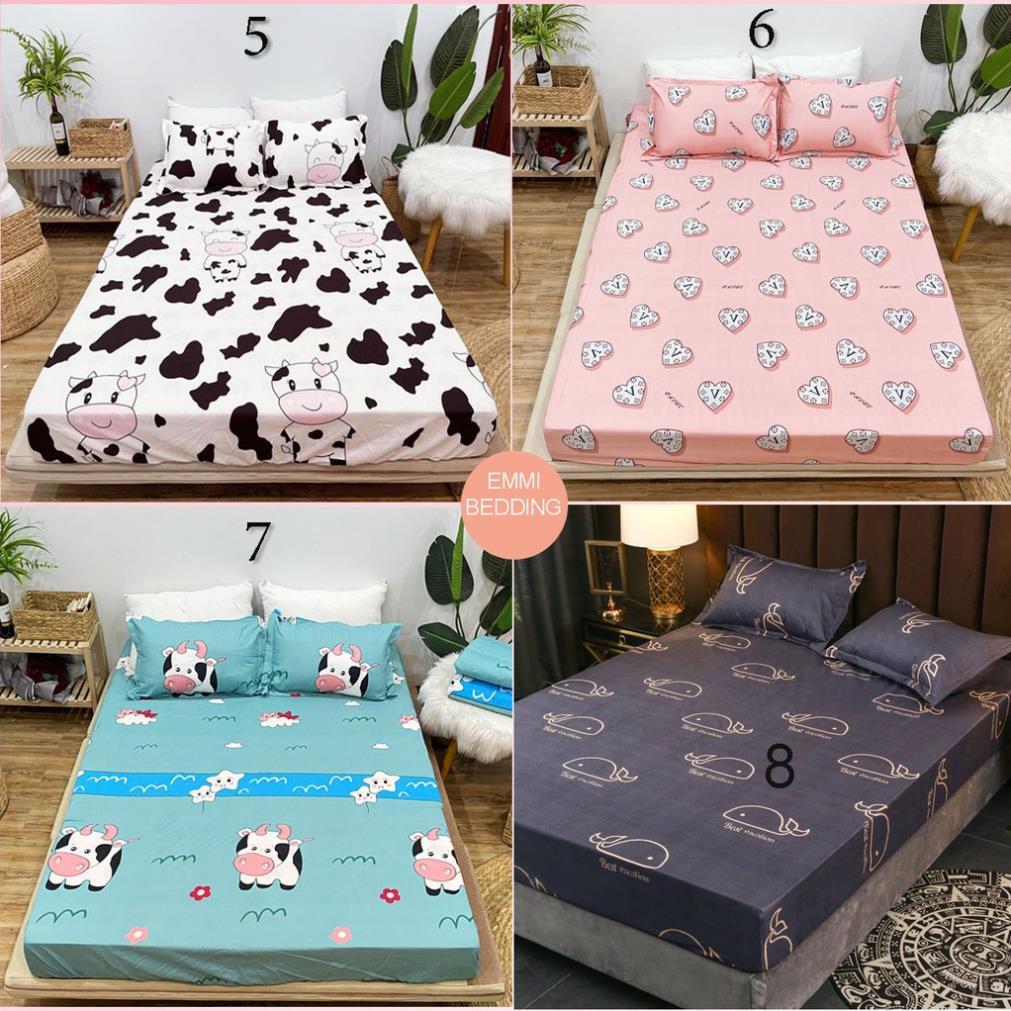 Bộ ga gối cotton poly