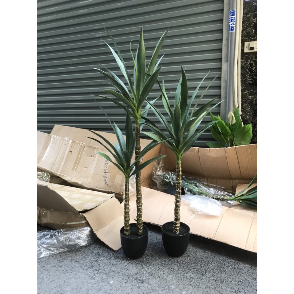 Cây dứa Nam Phi giả - Size từ 100cm đến 160cm - Cây giả, hoa lụa Decor trang trí nhà cửa