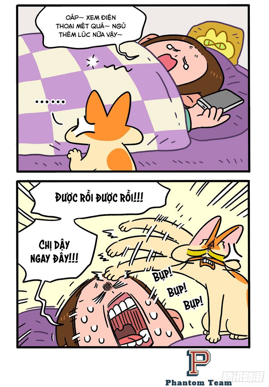 a mãn và mạch trà chapter 136 4