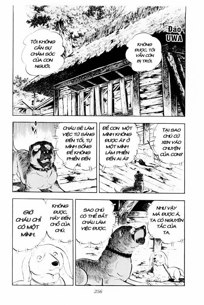 chú chó có nghĩa - ginga nagareboshi gin chapter 30 14