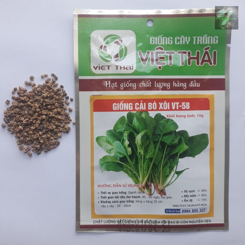Hạt giống Cải bó xôi, đóng gói 5gr, giàu dinh dưỡng, dễ trồng, ít sâu bệnh