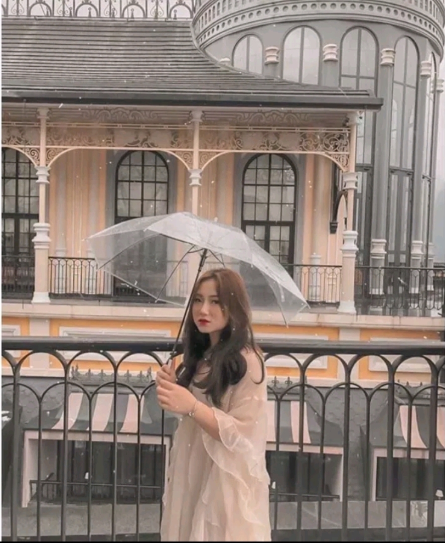 Ô trong suốt dù trong suốt