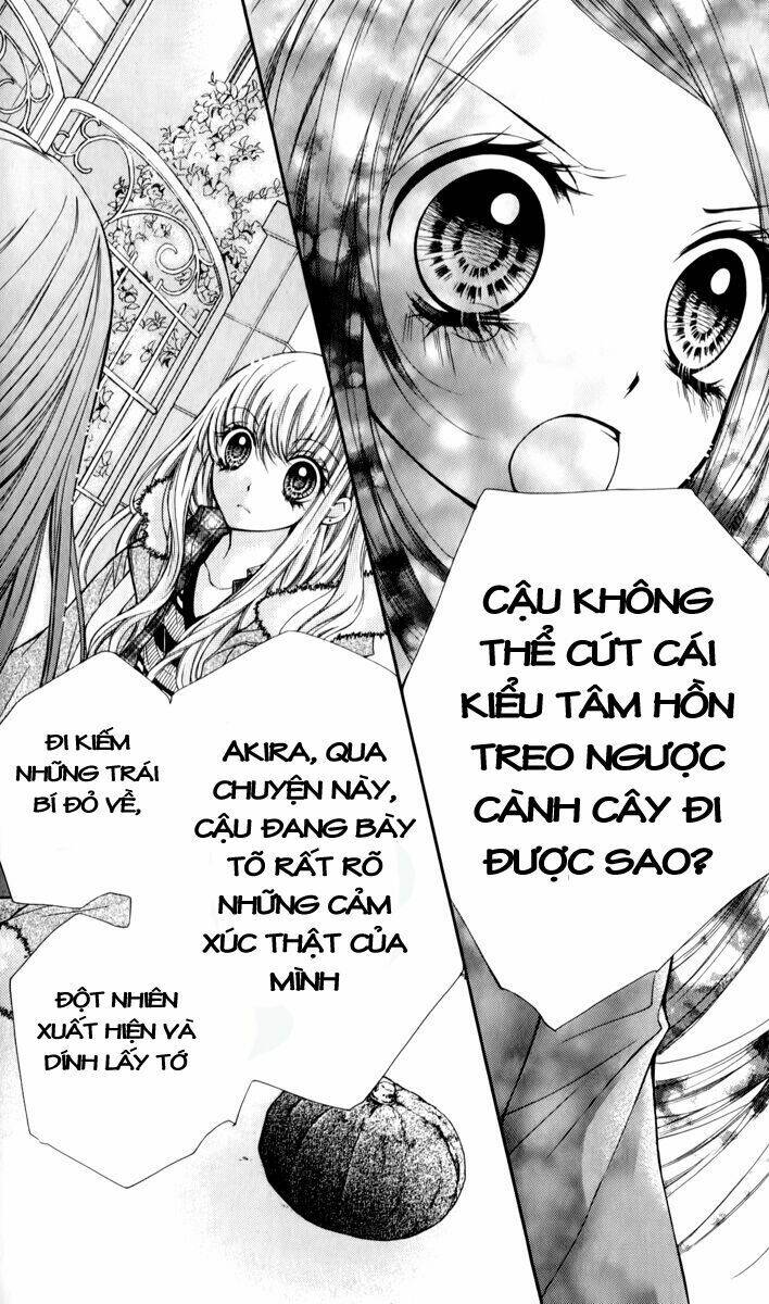 shouri no akuma chapter 12 25