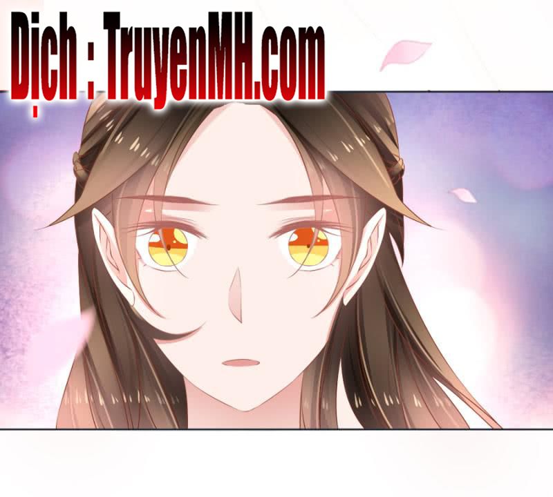 solo đi vương gia chapter 127 12