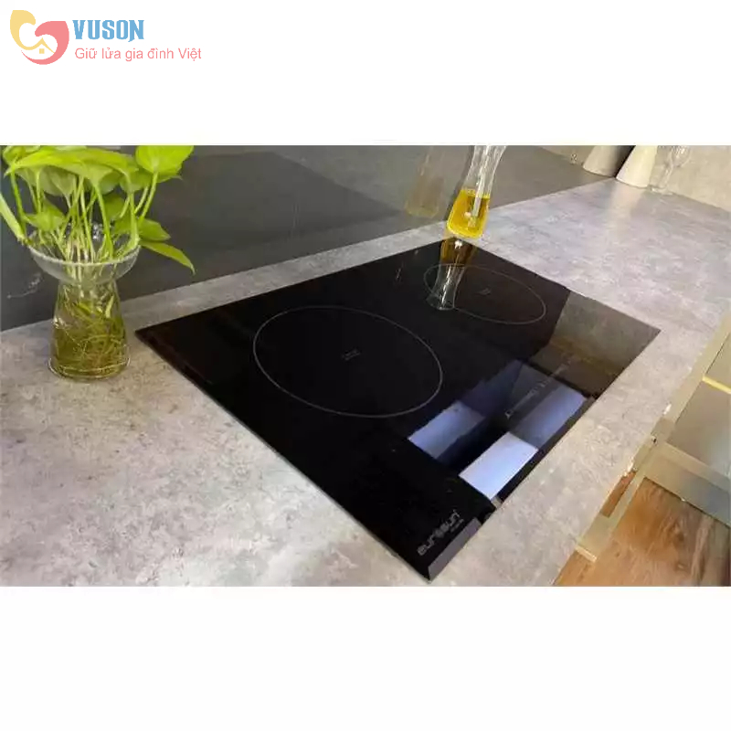 Bếp từ Eurosun EU-T898G Hàng Chính Hãng