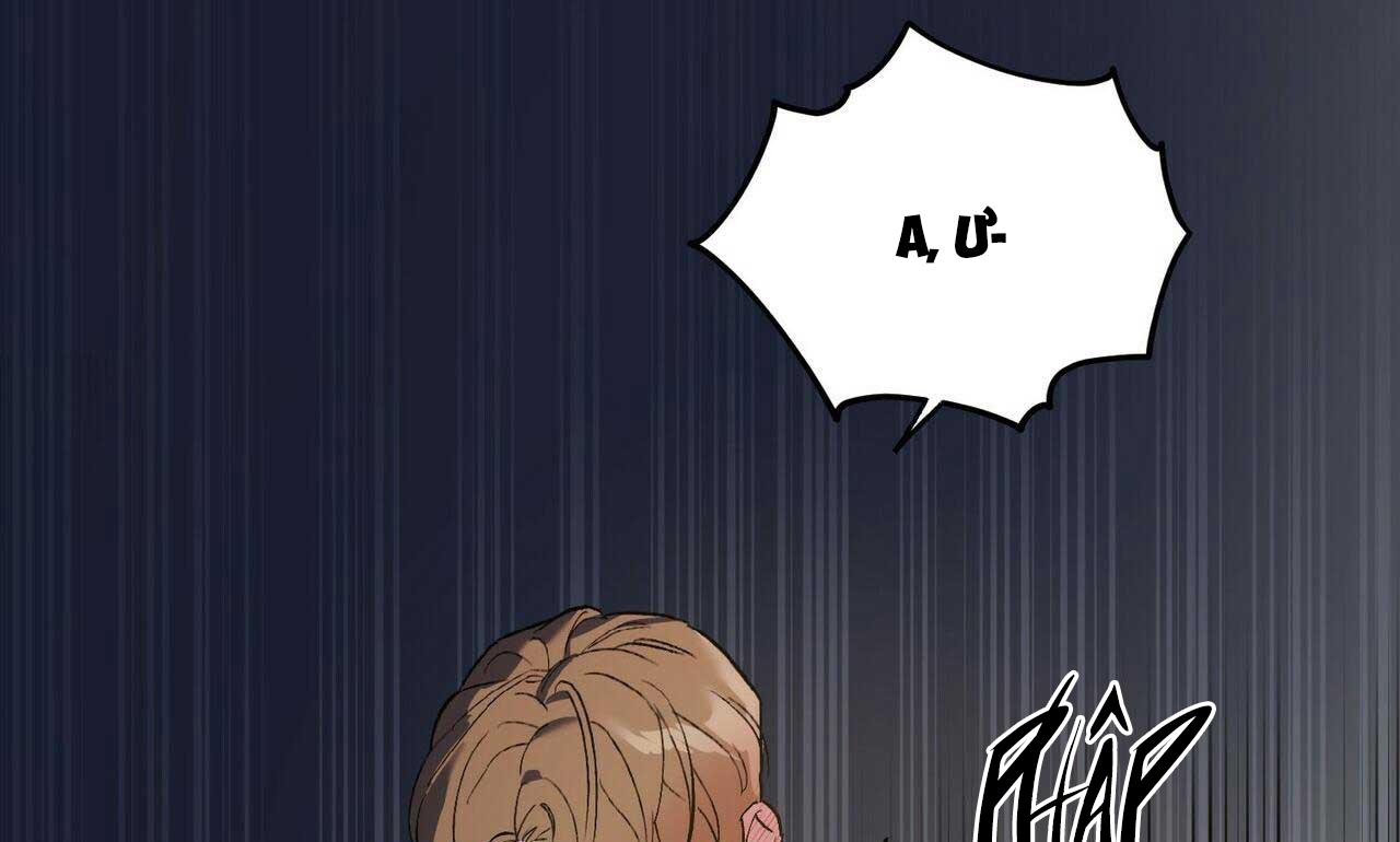 chàng dâu nhà họ kang chapter 23 7