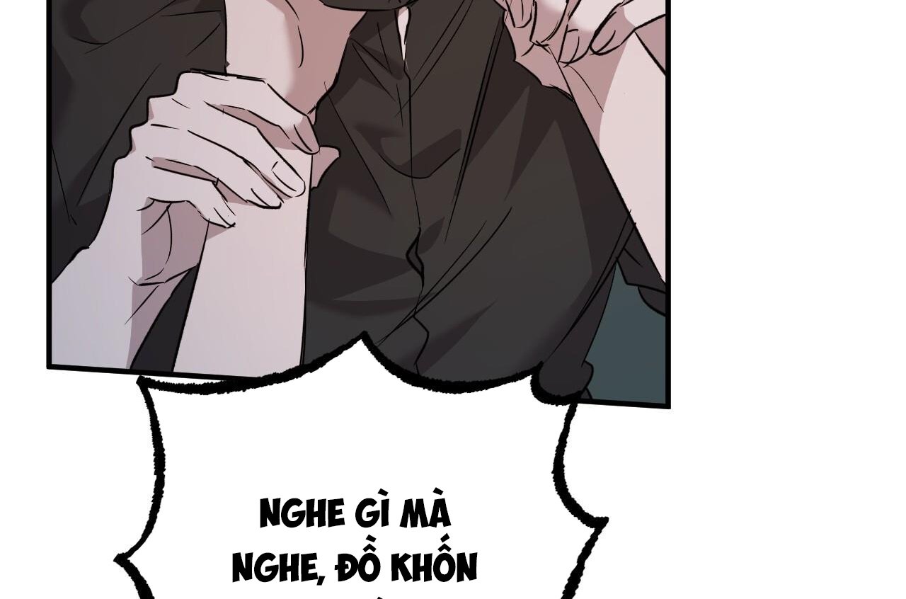 những chú thỏ của hapypy chapter 58 164