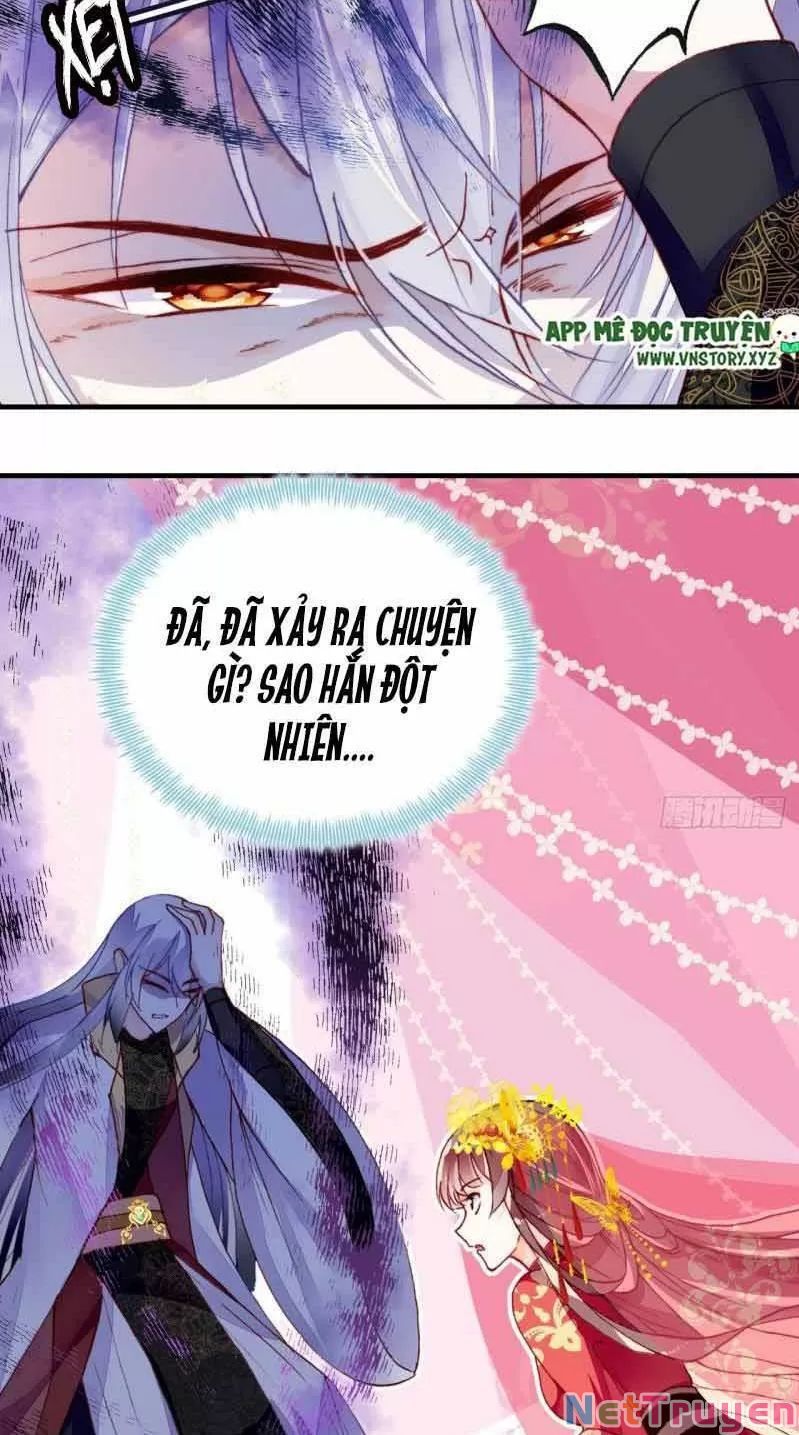 lại bị bệnh chiều chuộng quấn lấy chapter 2 23