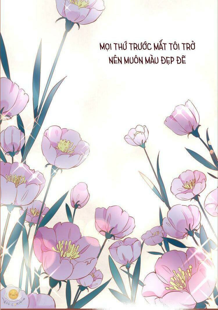 nở rộ trên bụi gai chapter 11 17