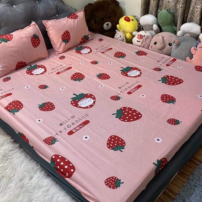 Bộ ga + 2 vỏ gối bọc chun cotton mẫu mã đa dạng