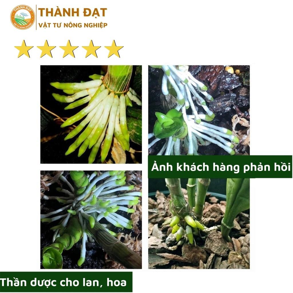 Bộ kích Kie Duy xanh và đỏ dùng kích kie cho lan 10ml