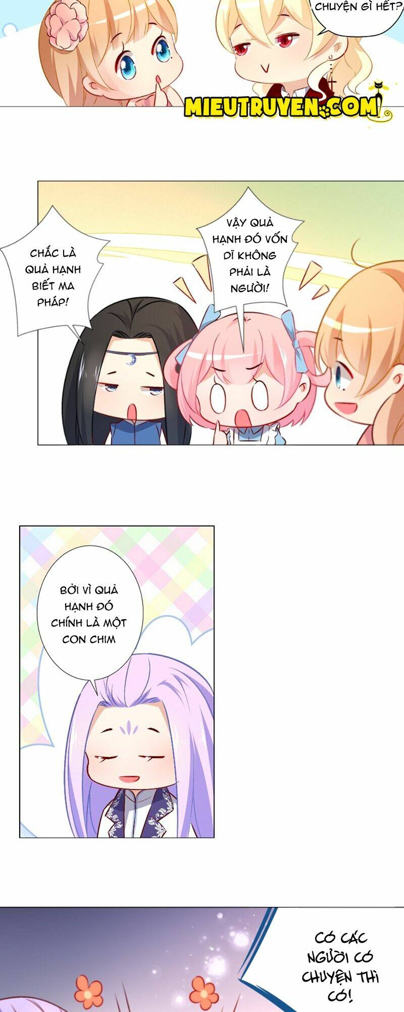 huyết tộc điện hạ xin đừng cắn tôi chapter 0 11