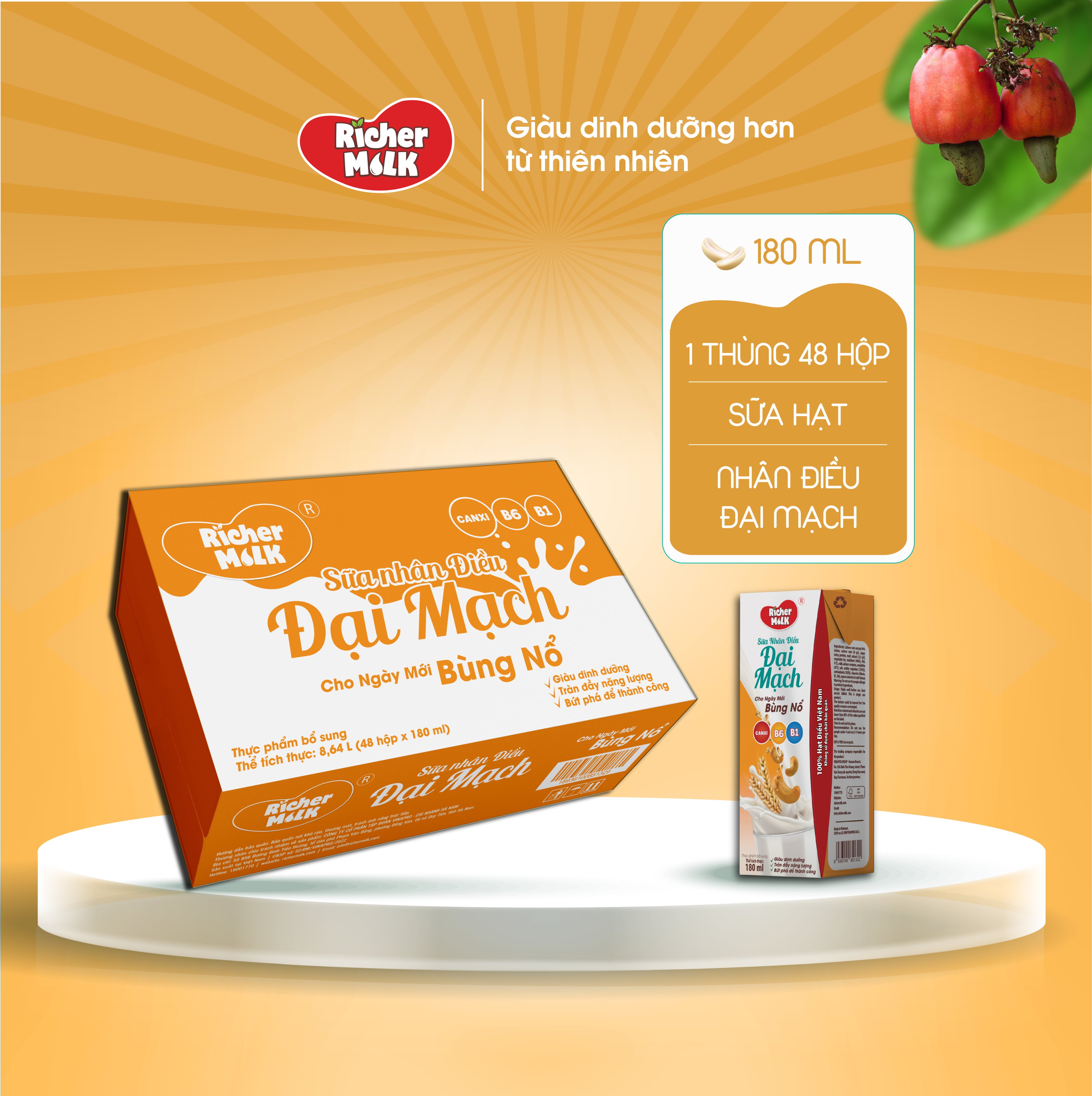 Thùng 48 hộp sữa nhân điều Đại Mạch Richer Milk 180ml