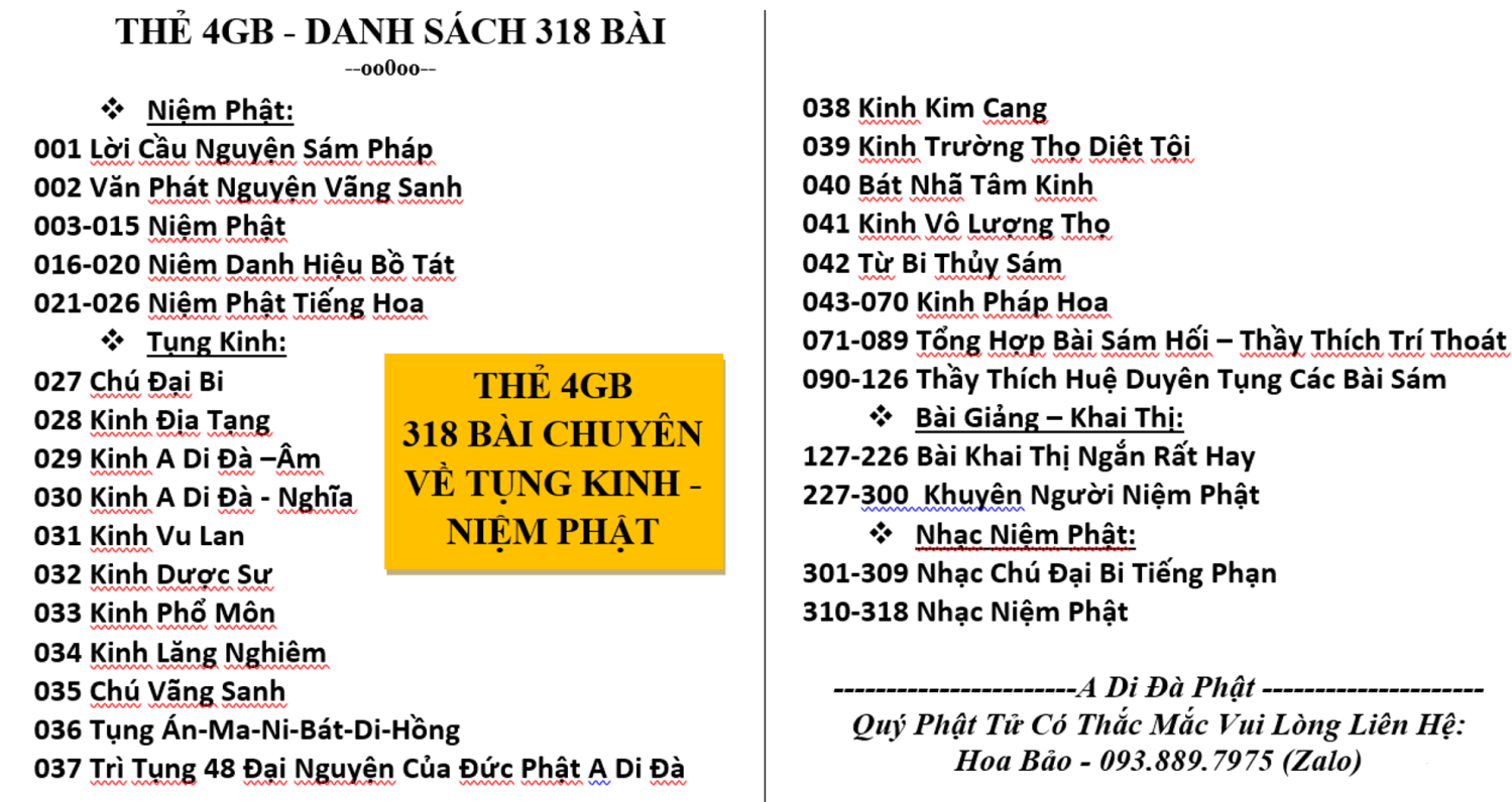 ️Máy Niệm Phật Chiếc Lá - Loa Nghe Pháp Chiếc Lá - Hàng Cao Cấp Chuẩn Tịnh Tông️