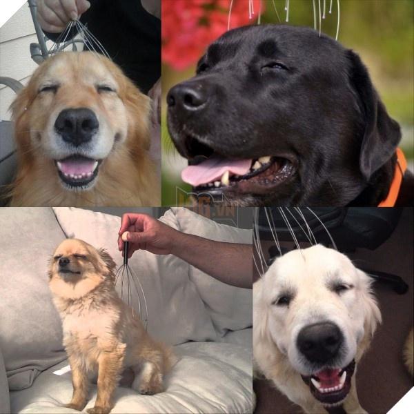 Dụng Cụ Massage Da Đầu Có Cán Cực Khoái