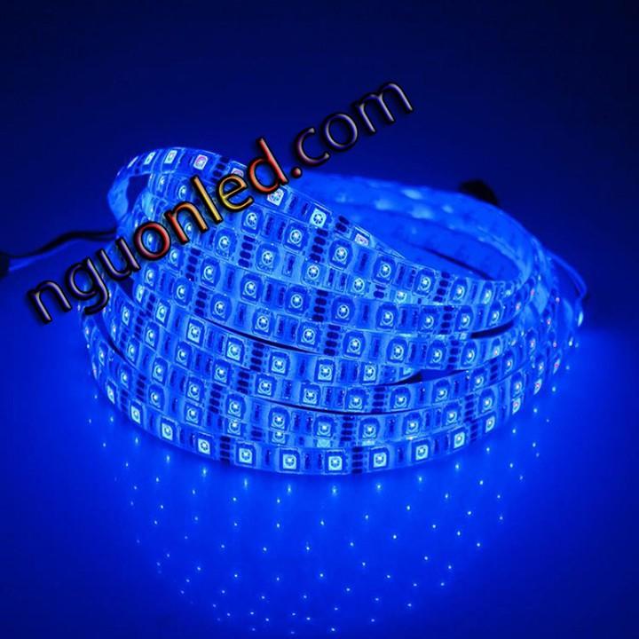 Đèn led dây 5050 cuộn 5m xanh dương - 5050 xanh dương