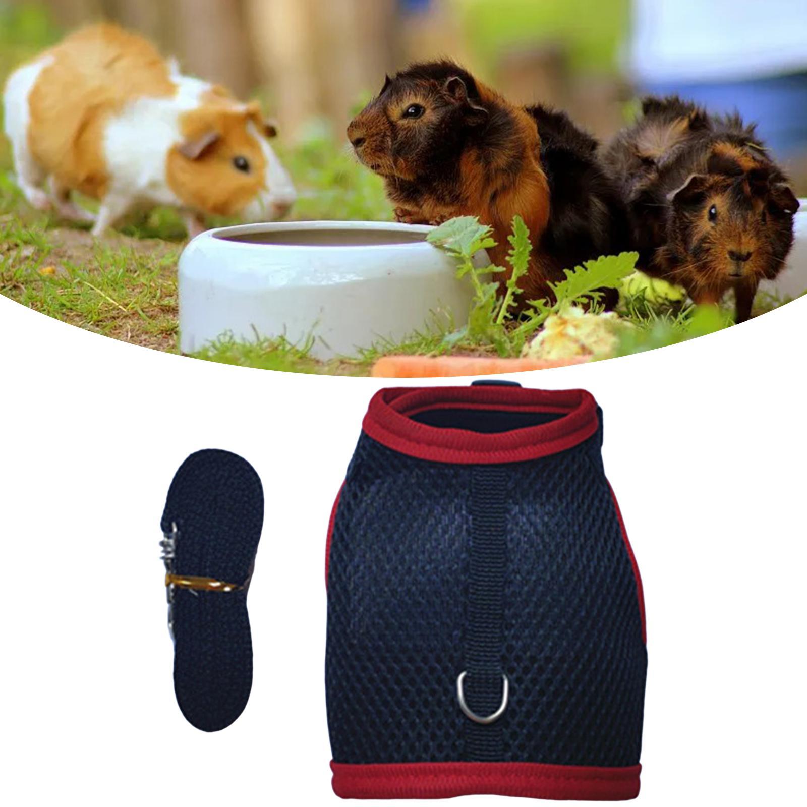 Rabbit Harness and Leash Set Mesh Vest Harness for Bunny Kitten Guinea