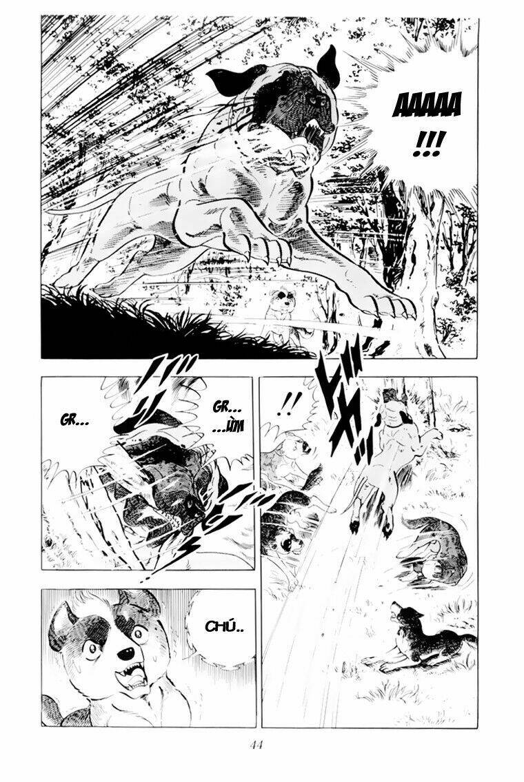 chú chó có nghĩa - ginga nagareboshi gin chapter 31 44