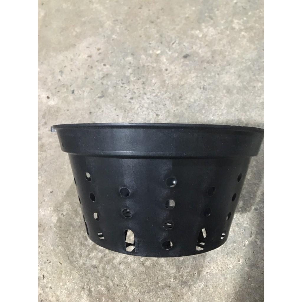 Combo 10 chậu nhựa đen trồng lan đường kính 25 cm lỗ tròn