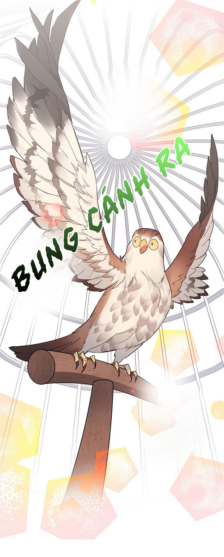 công chúa của loài chim chapter 1 61