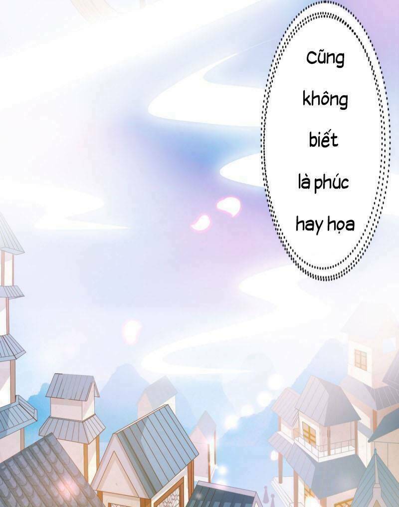 như ý giai thê chapter 2 8