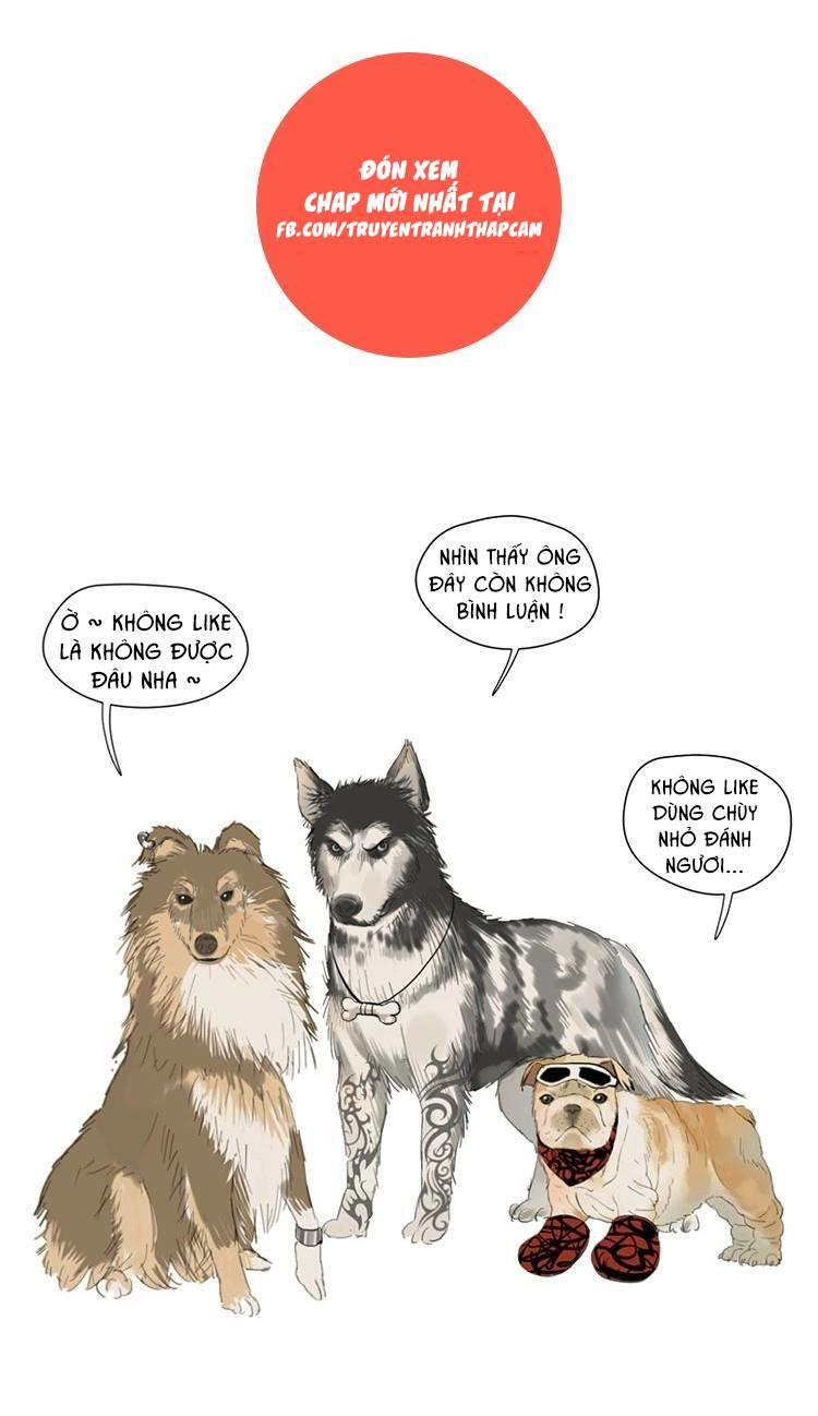 cứu mạng ! loài mèo thống trị thế giới rồi ! chapter 6 14