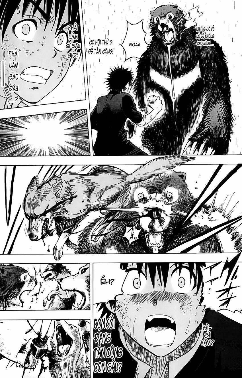 cage of eden chapter 45 15