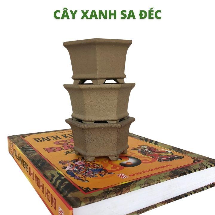 Chậu lục giác mini đáy xuông CK1A và đáy bầu CK1B cho bonsai mini để bàn, sen đá, xương rồng