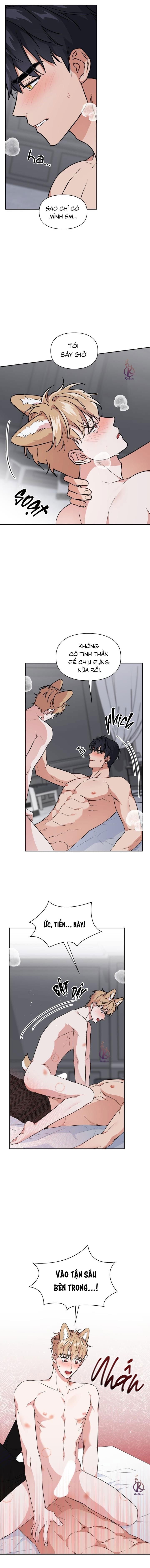 mồi nhử chapter 62 13