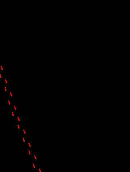 võ sĩ - the boxer chapter 103 14