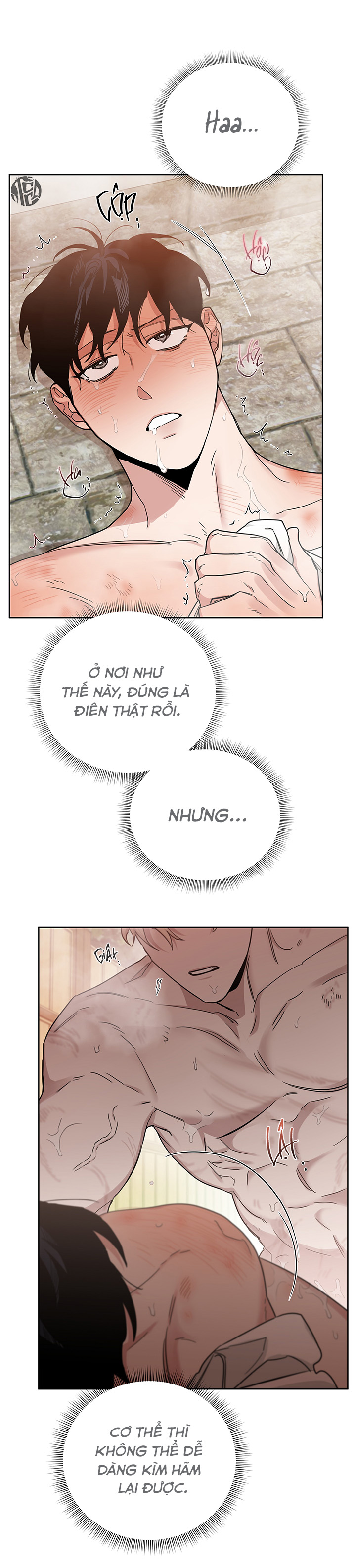 đoá hồng và ly champagne chapter 0.18 5