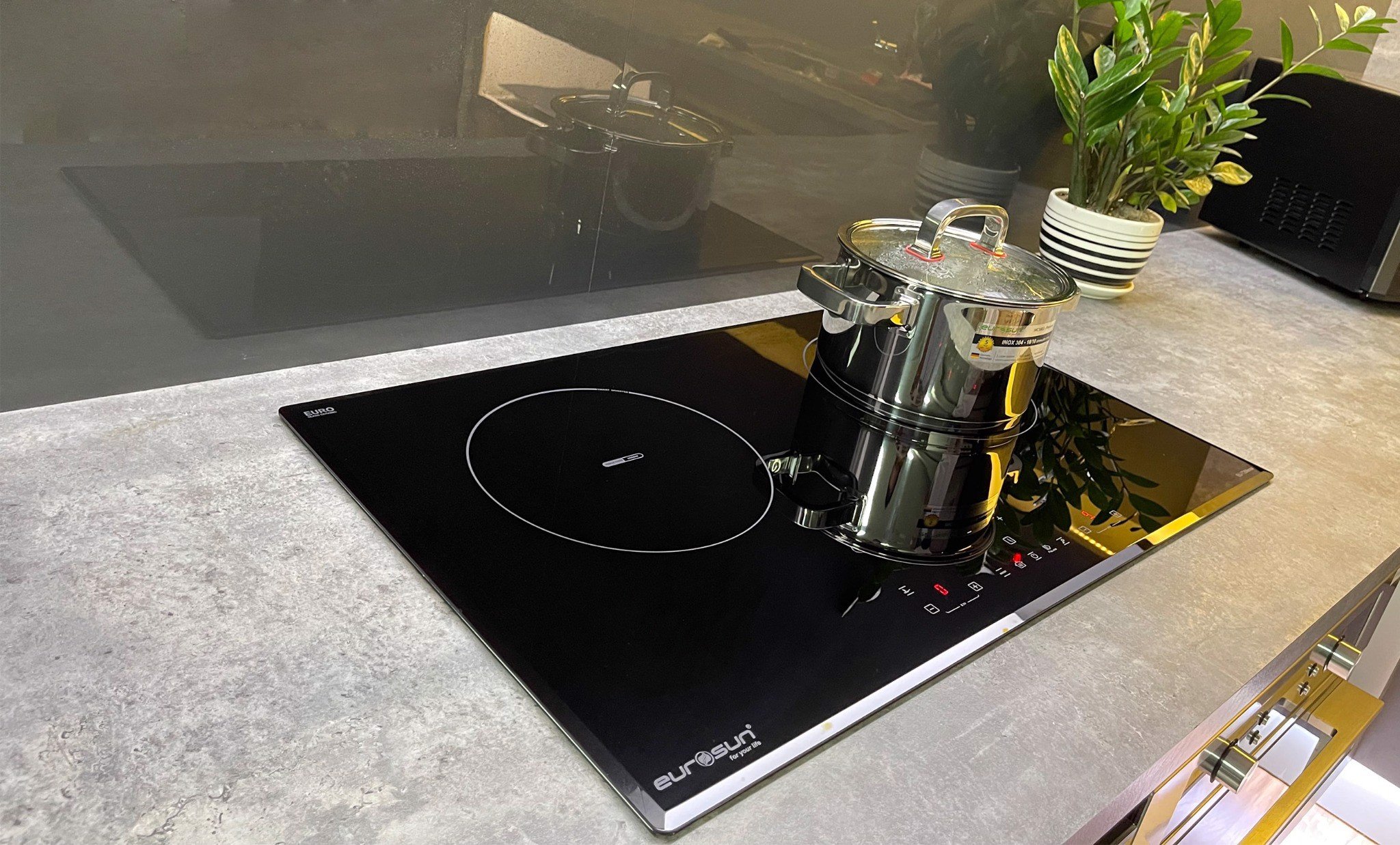 Bếp Từ Eurosun EU-T256 MAX hàng chính hãng