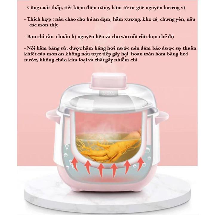 Nồi Nấu Cháo Chậm - Nồi Hầm Cách Thủy Dung Tích 1L, Lòng Nồi Bằng Sứ Giữ Nhiệt Tốt Hơn - Nồi Chưng Yến, Hầm Canh... - Hàng Chất Lượng