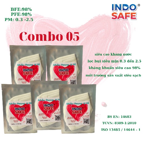 Combo 5 Túi Khẩu trang cao cấp kháng khuẩn INDO SAFE