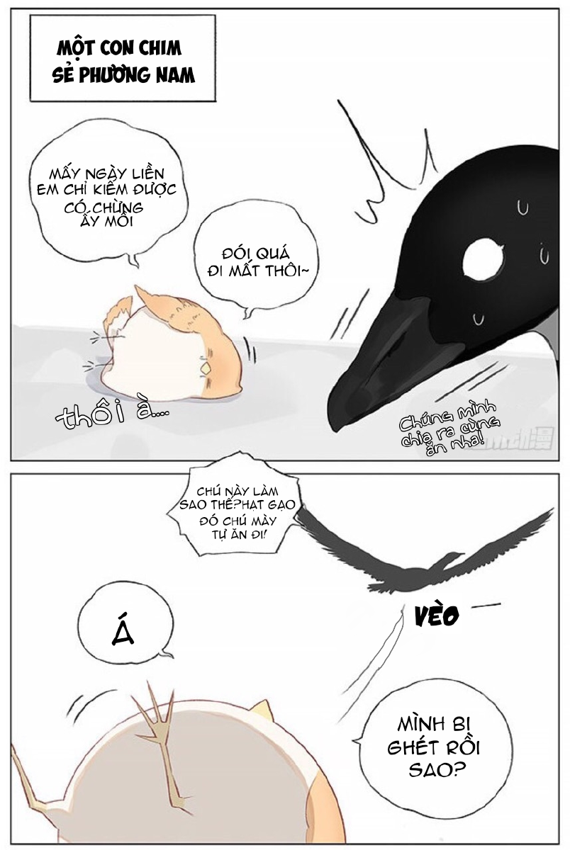 sẻ chiếu mới và nhạn phong sương chapter 2 2