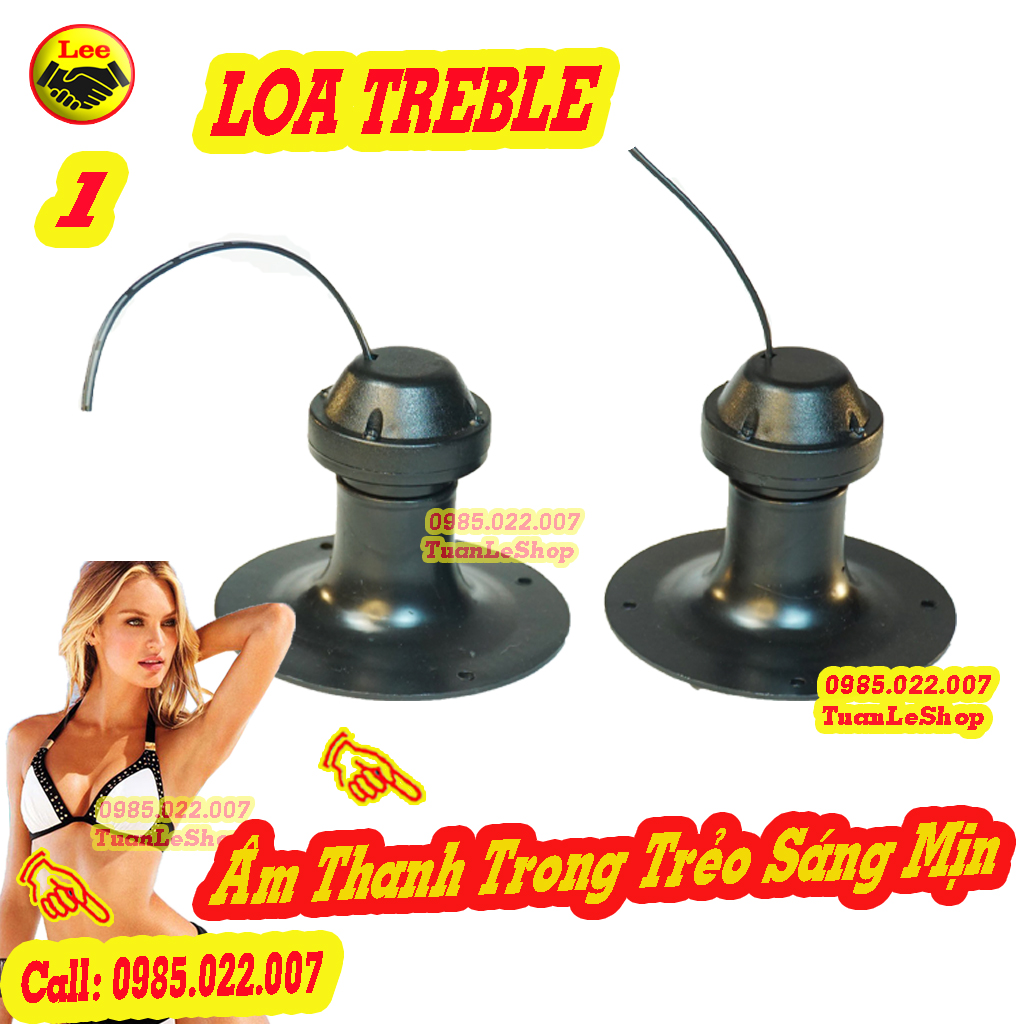 LOA TREBLE 10CM THACH ANH TRÒN LOẠI CÓ SẴN DÂY - GIÁ 01 CẶP LOA