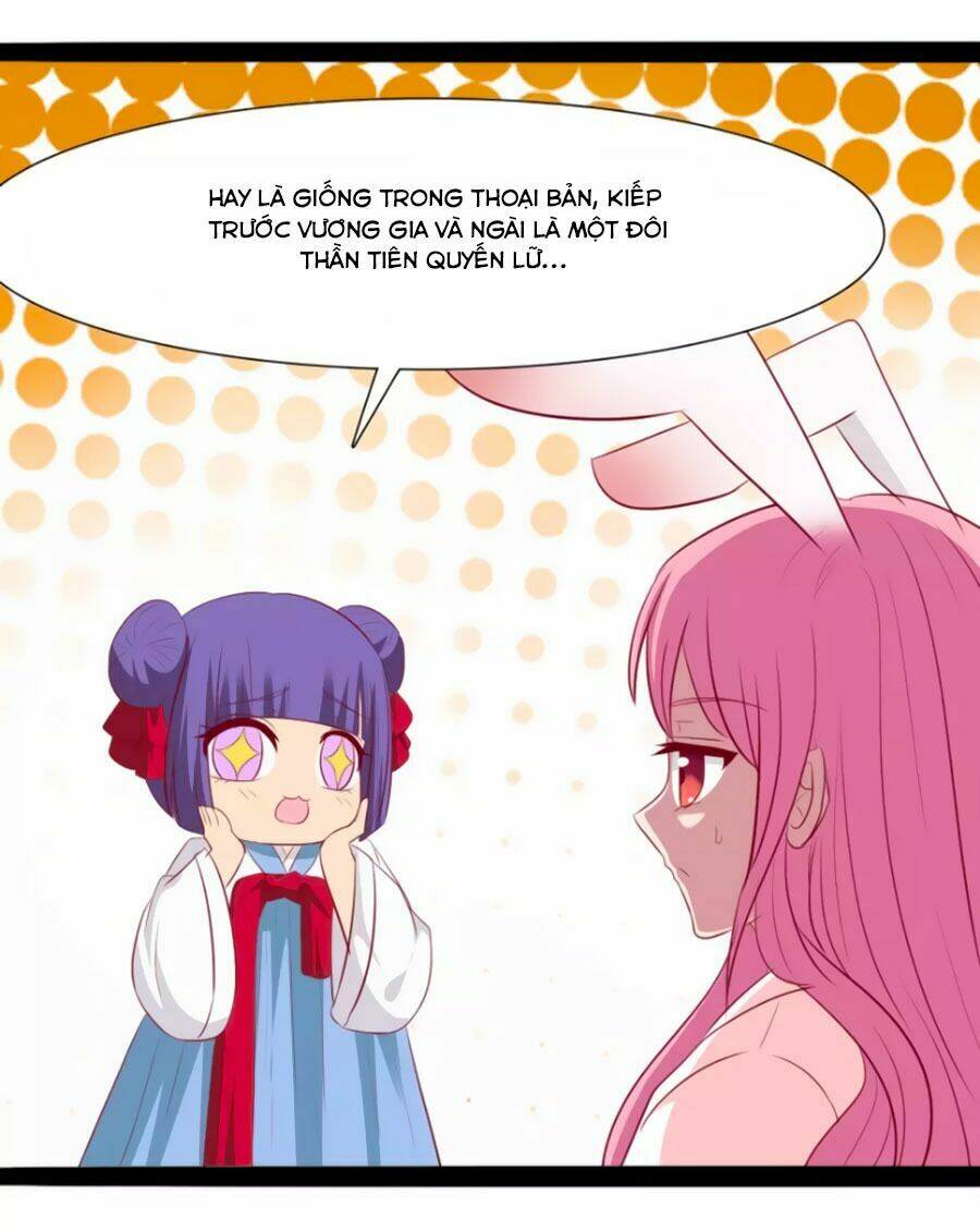 thỏ yêu tiểu vương phi chapter 33 23
